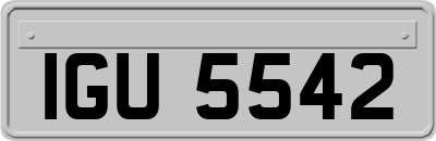IGU5542