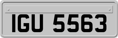 IGU5563