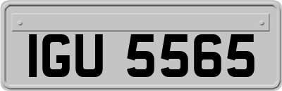 IGU5565