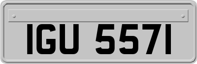 IGU5571
