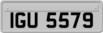IGU5579