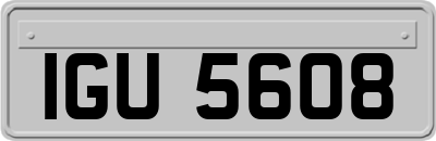 IGU5608