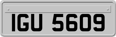 IGU5609