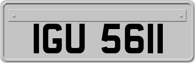 IGU5611