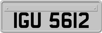 IGU5612