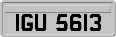 IGU5613