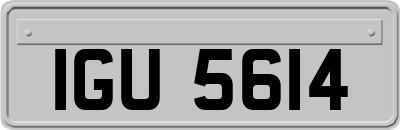 IGU5614