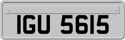 IGU5615