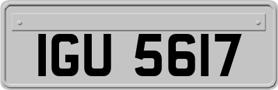 IGU5617
