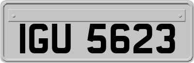 IGU5623