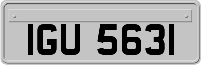 IGU5631