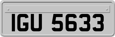 IGU5633