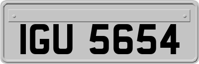 IGU5654