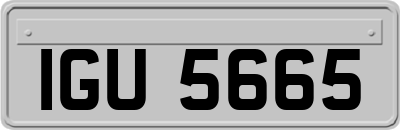 IGU5665