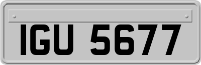 IGU5677