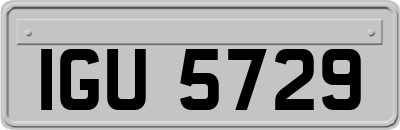 IGU5729