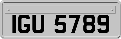 IGU5789