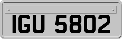IGU5802