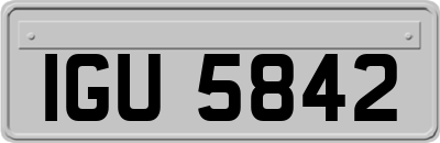 IGU5842