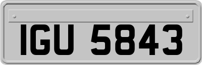 IGU5843