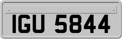 IGU5844