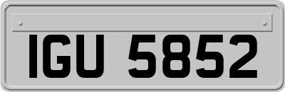 IGU5852