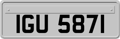 IGU5871
