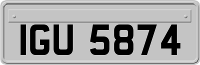 IGU5874