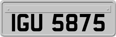 IGU5875