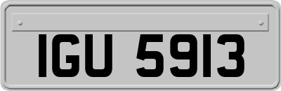IGU5913