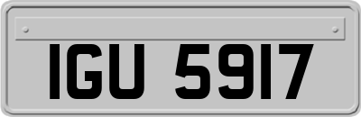 IGU5917