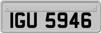 IGU5946
