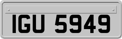 IGU5949