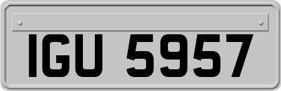 IGU5957