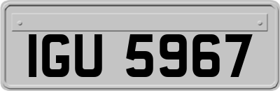 IGU5967