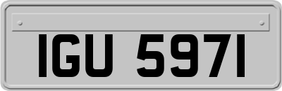 IGU5971