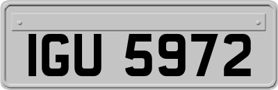 IGU5972