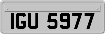 IGU5977