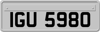 IGU5980