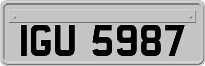 IGU5987