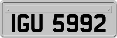 IGU5992