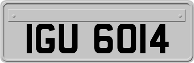 IGU6014