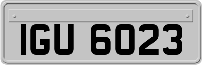 IGU6023
