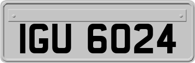 IGU6024