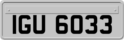 IGU6033