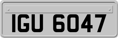 IGU6047