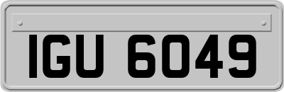 IGU6049