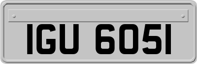 IGU6051