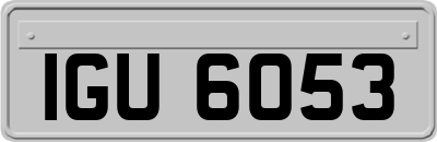 IGU6053