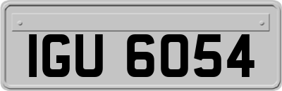 IGU6054